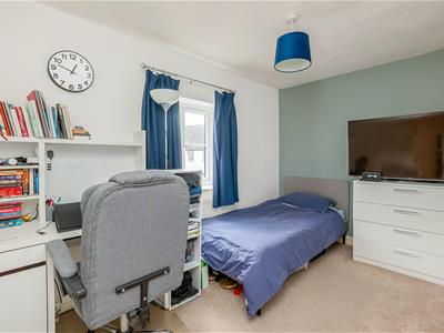Picture 16